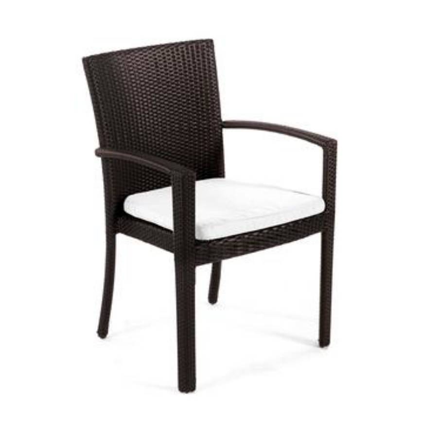 Picture of SENNA DINING CHAIR WITH ARMS